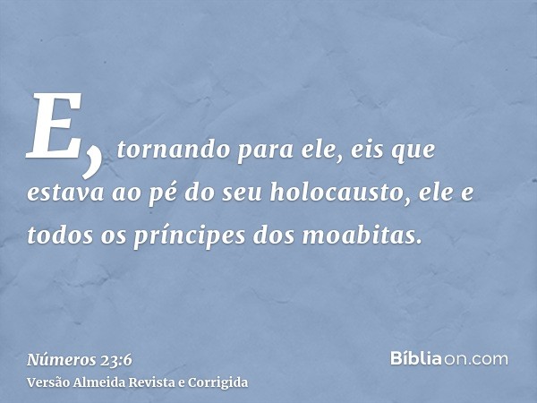 E, tornando para ele, eis que estava ao pé do seu holocausto, ele e todos os príncipes dos moabitas.