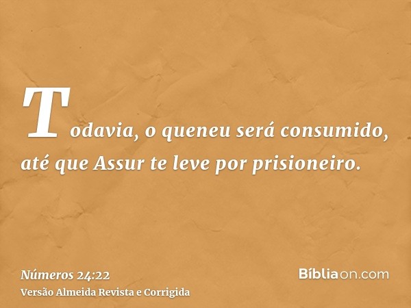 Todavia, o queneu será consumido, até que Assur te leve por prisioneiro.