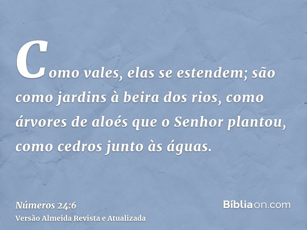 Como vales, elas se estendem; são como jardins à beira dos rios, como árvores de aloés que o Senhor plantou, como cedros junto às águas.