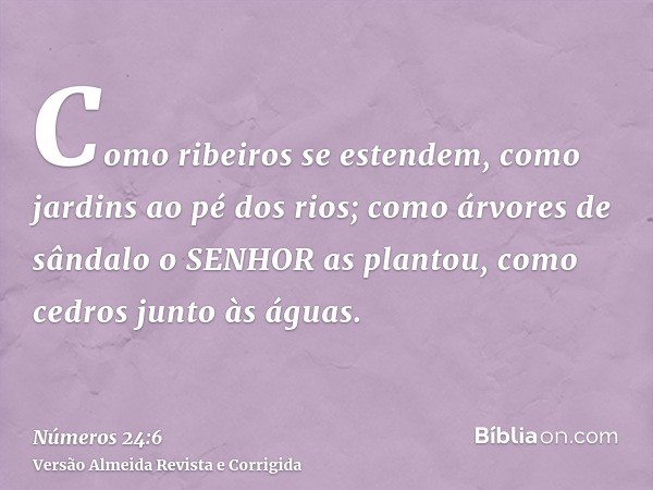 Como ribeiros se estendem, como jardins ao pé dos rios; como árvores de sândalo o SENHOR as plantou, como cedros junto às águas.