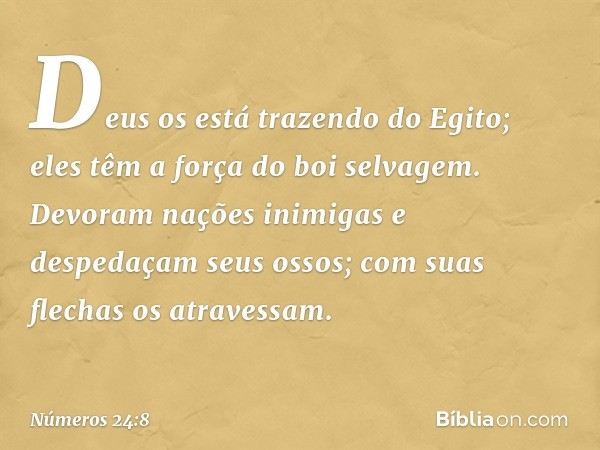 Deus os está trazendo do Egito;
eles têm a força do boi selvagem.
Devoram nações inimigas
e despedaçam seus ossos;
com suas flechas os atravessam. -- Números 24