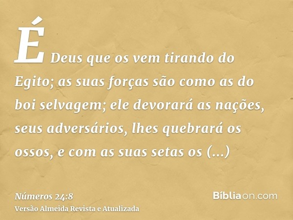 É Deus que os vem tirando do Egito; as suas forças são como as do boi selvagem; ele devorará as nações, seus adversários, lhes quebrará os ossos, e com as suas 