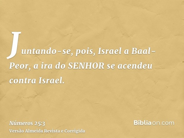 Juntando-se, pois, Israel a Baal-Peor, a ira do SENHOR se acendeu contra Israel.