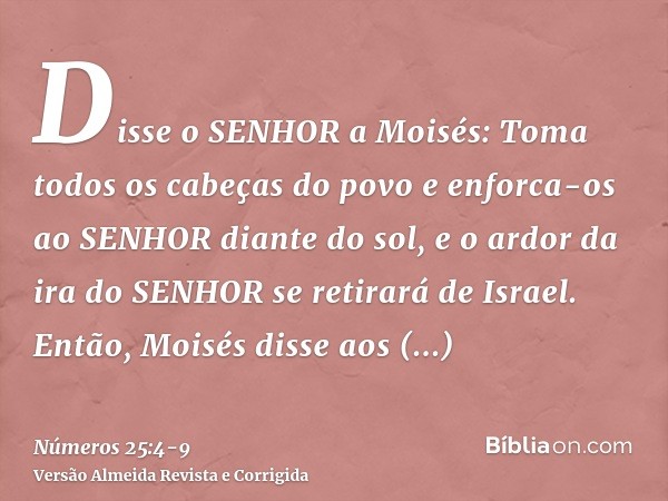 Disse o SENHOR a Moisés: Toma todos os cabeças do povo e enforca-os ao SENHOR diante do sol, e o ardor da ira do SENHOR se retirará de Israel.Então, Moisés diss