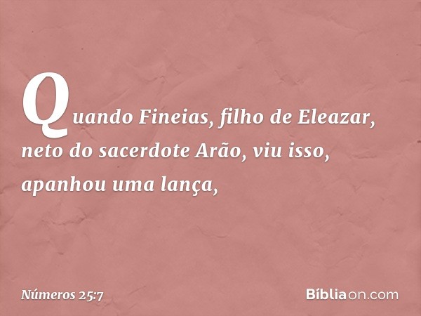 Quando Fineias, filho de Eleazar, neto do sacerdote Arão, viu isso, apanhou uma lança, -- Números 25:7