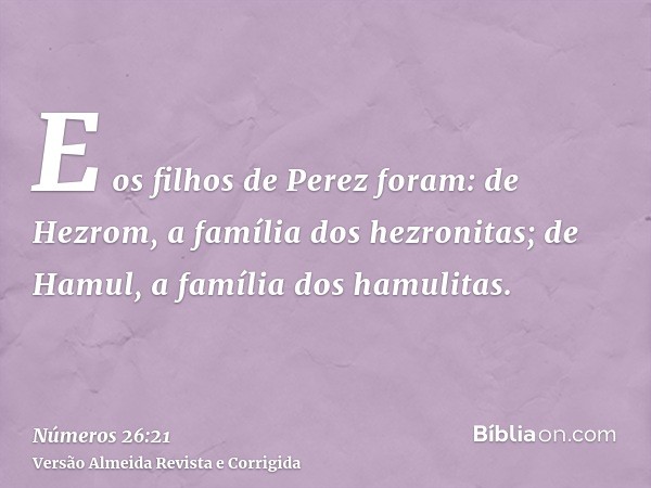 E os filhos de Perez foram: de Hezrom, a família dos hezronitas; de Hamul, a família dos hamulitas.