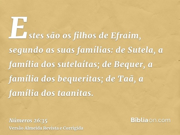 Estes são os filhos de Efraim, segundo as suas famílias: de Sutela, a família dos sutelaítas; de Bequer, a família dos bequeritas; de Taã, a família dos taanita