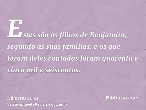 Estes são os filhos de Benjamim, segundo as suas famílias; e os que foram deles contados foram quarenta e cinco mil e seiscentos.