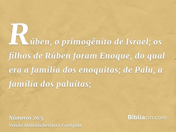 Rúben, o primogênito de Israel; os filhos de Rúben foram Enoque, do qual era a família dos enoquitas; de Palu, a família dos paluítas;