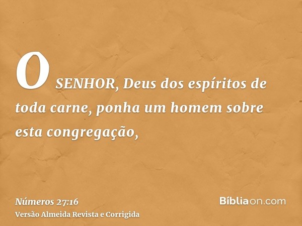 O SENHOR, Deus dos espíritos de toda carne, ponha um homem sobre esta congregação,