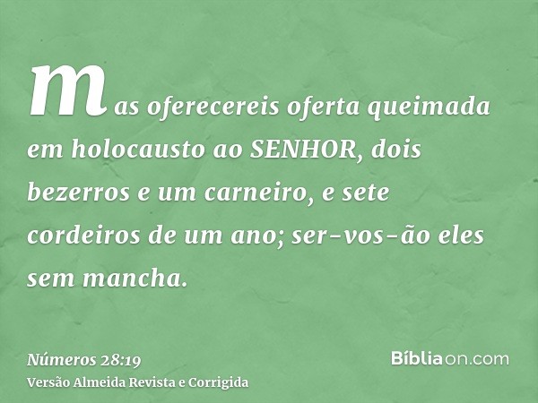 mas oferecereis oferta queimada em holocausto ao SENHOR, dois bezerros e um carneiro, e sete cordeiros de um ano; ser-vos-ão eles sem mancha.