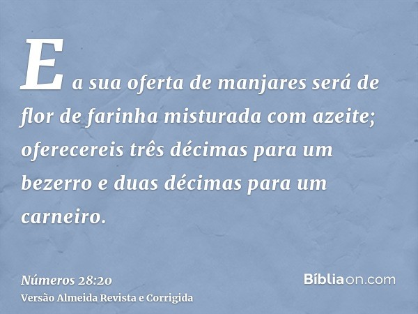 E a sua oferta de manjares será de flor de farinha misturada com azeite; oferecereis três décimas para um bezerro e duas décimas para um carneiro.