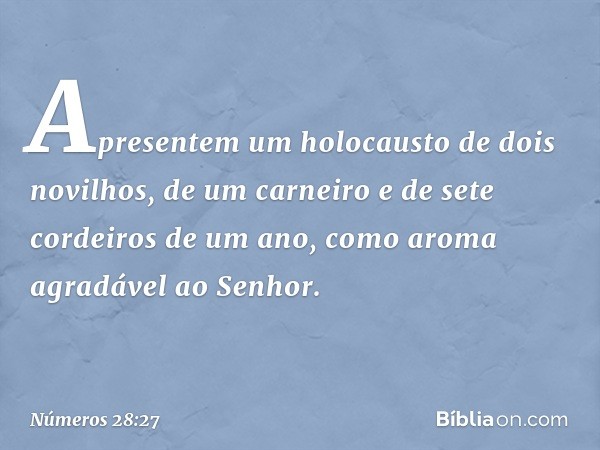 Apresentem um holocausto de dois novilhos, de um carneiro e de sete cordeiros de um ano, como aroma agradável ao Senhor. -- Números 28:27