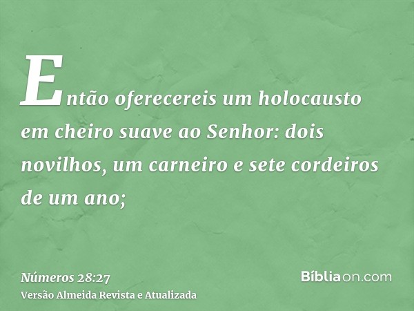 Então oferecereis um holocausto em cheiro suave ao Senhor: dois novilhos, um carneiro e sete cordeiros de um ano;