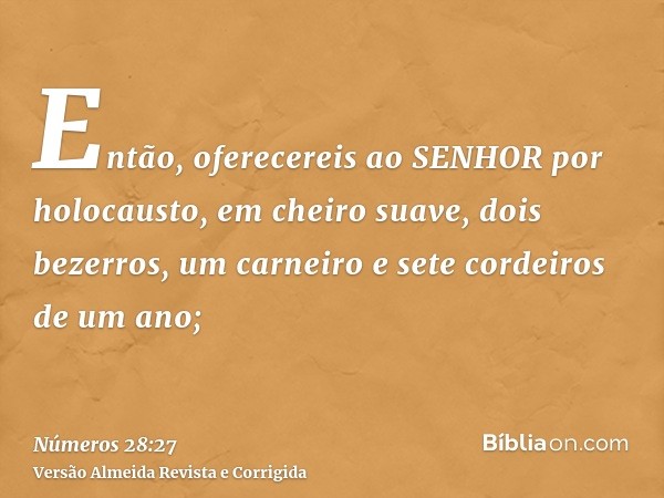 Então, oferecereis ao SENHOR por holocausto, em cheiro suave, dois bezerros, um carneiro e sete cordeiros de um ano;