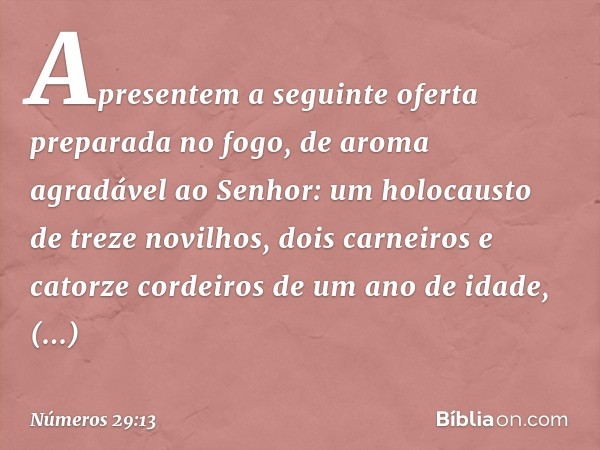 Apresentem a seguinte oferta preparada no fogo, de aroma agradável ao Senhor: um holocausto de treze novilhos, dois carneiros e catorze cordeiros de um ano de i