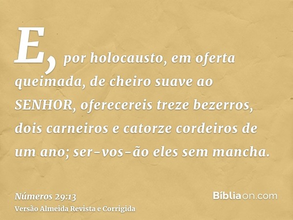 E, por holocausto, em oferta queimada, de cheiro suave ao SENHOR, oferecereis treze bezerros, dois carneiros e catorze cordeiros de um ano; ser-vos-ão eles sem 