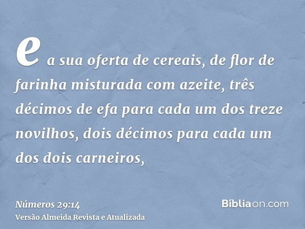 e a sua oferta de cereais, de flor de farinha misturada com azeite, três décimos de efa para cada um dos treze novilhos, dois décimos para cada um dos dois carn