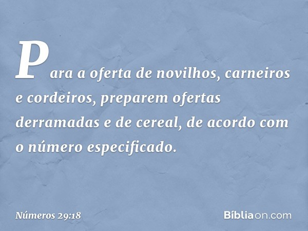 Para a oferta de novilhos, carneiros e cordeiros, preparem ofertas derramadas e de cereal, de acordo com o número especificado. -- Números 29:18