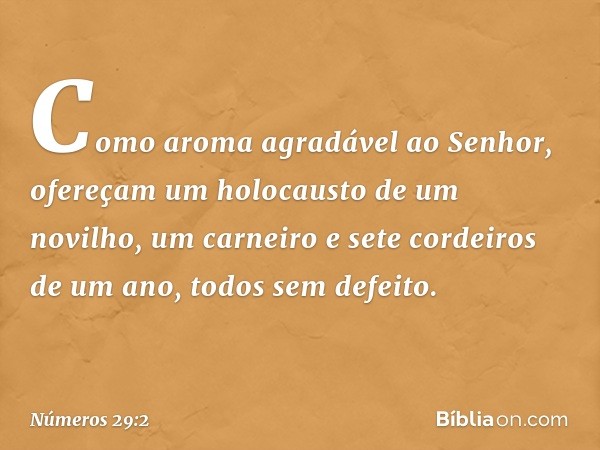 Como aroma agradável ao Senhor, ofereçam um holocausto de um novilho, um carneiro e sete cordeiros de um ano, todos sem defeito. -- Números 29:2