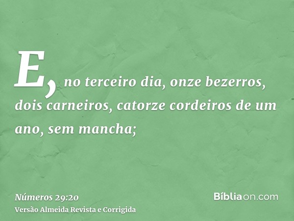 E, no terceiro dia, onze bezerros, dois carneiros, catorze cordeiros de um ano, sem mancha;