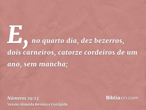 E, no quarto dia, dez bezerros, dois carneiros, catorze cordeiros de um ano, sem mancha;