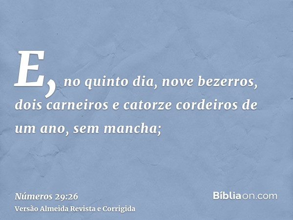 E, no quinto dia, nove bezerros, dois carneiros e catorze cordeiros de um ano, sem mancha;