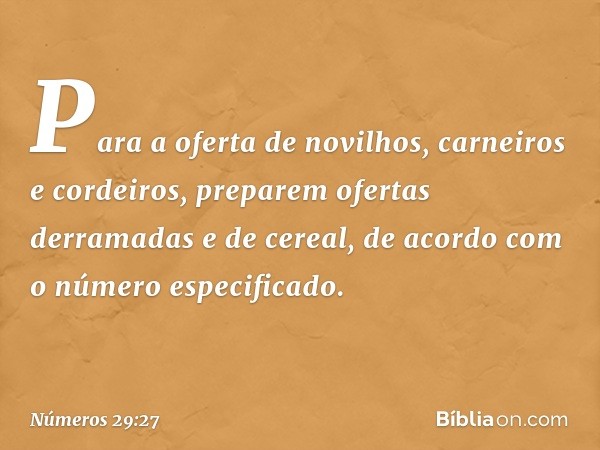 Para a oferta de novilhos, carneiros e cordeiros, preparem ofertas derramadas e de cereal, de acordo com o número especificado. -- Números 29:27