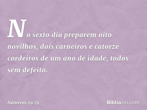 "No sexto dia preparem oito novilhos, dois carneiros e catorze cordeiros de um ano de idade, todos sem defeito. -- Números 29:29