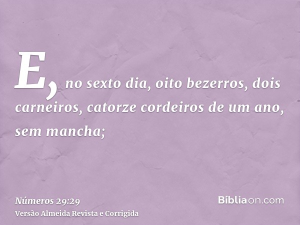 E, no sexto dia, oito bezerros, dois carneiros, catorze cordeiros de um ano, sem mancha;