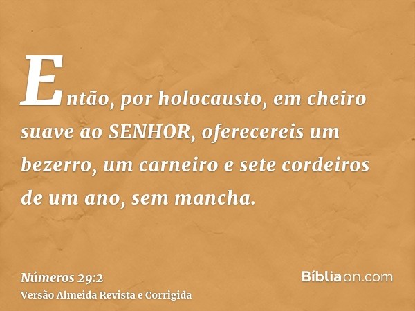 Então, por holocausto, em cheiro suave ao SENHOR, oferecereis um bezerro, um carneiro e sete cordeiros de um ano, sem mancha.
