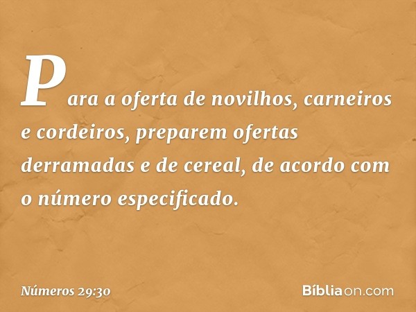 Para a oferta de novilhos, carneiros e cordeiros, preparem ofertas derramadas e de cereal, de acordo com o número especificado. -- Números 29:30