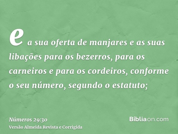 e a sua oferta de manjares e as suas libações para os bezerros, para os carneiros e para os cordeiros, conforme o seu número, segundo o estatuto;