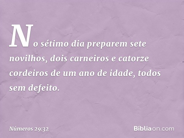 "No sétimo dia preparem sete novilhos, dois carneiros e catorze cordeiros de um ano de idade, todos sem defeito. -- Números 29:32