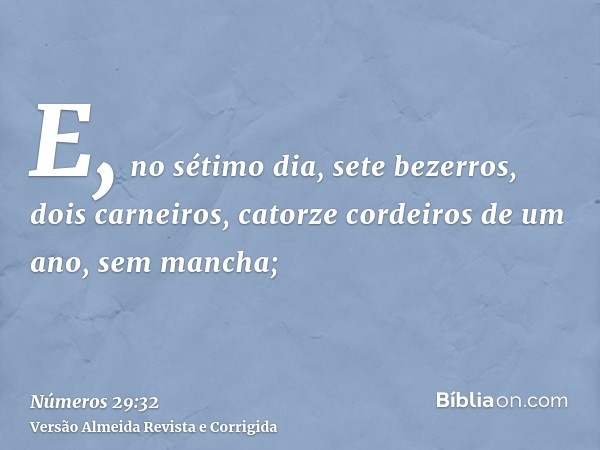 E, no sétimo dia, sete bezerros, dois carneiros, catorze cordeiros de um ano, sem mancha;
