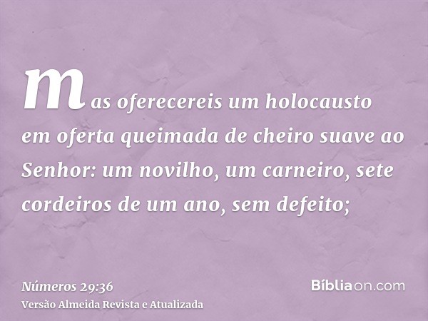 mas oferecereis um holocausto em oferta queimada de cheiro suave ao Senhor: um novilho, um carneiro, sete cordeiros de um ano, sem defeito;