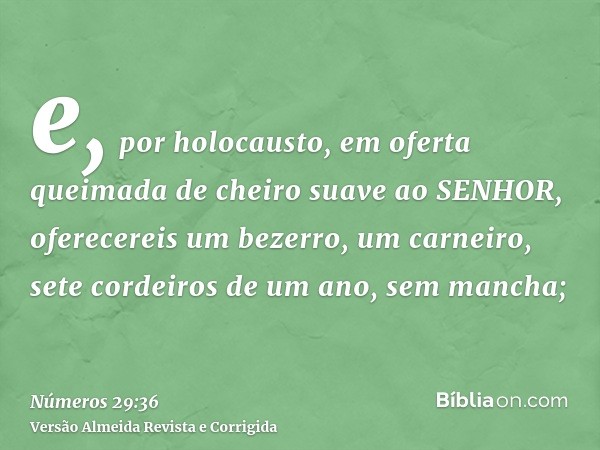 e, por holocausto, em oferta queimada de cheiro suave ao SENHOR, oferecereis um bezerro, um carneiro, sete cordeiros de um ano, sem mancha;