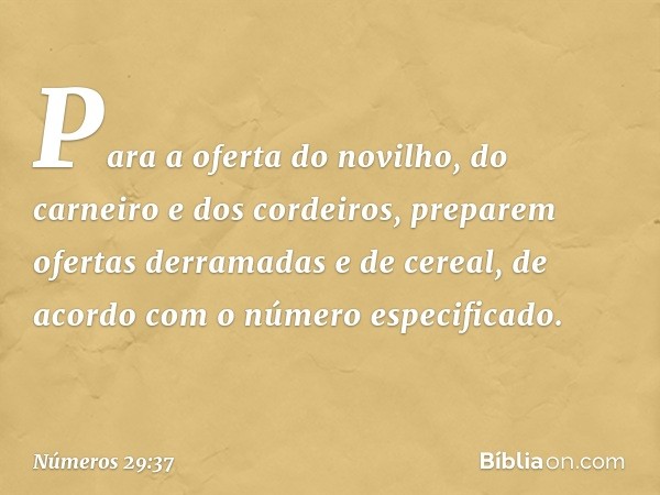 Para a oferta do novilho, do carneiro e dos cordeiros, preparem ofertas derramadas e de cereal, de acordo com o número especificado. -- Números 29:37