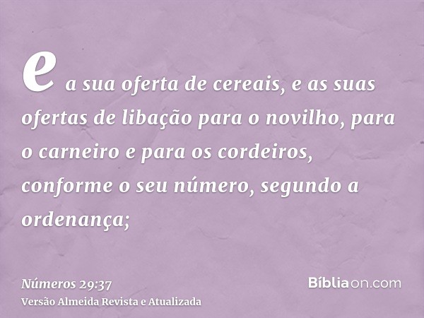 e a sua oferta de cereais, e as suas ofertas de libação para o novilho, para o carneiro e para os cordeiros, conforme o seu número, segundo a ordenança;