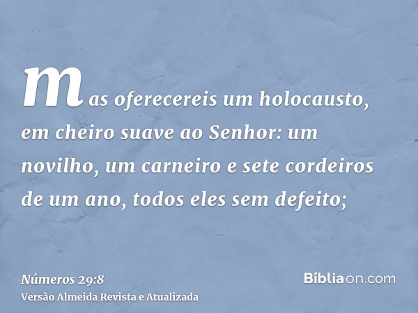 mas oferecereis um holocausto, em cheiro suave ao Senhor: um novilho, um carneiro e sete cordeiros de um ano, todos eles sem defeito;