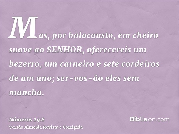 Mas, por holocausto, em cheiro suave ao SENHOR, oferecereis um bezerro, um carneiro e sete cordeiros de um ano; ser-vos-ão eles sem mancha.
