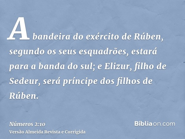 A bandeira do exército de Rúben, segundo os seus esquadrões, estará para a banda do sul; e Elizur, filho de Sedeur, será príncipe dos filhos de Rúben.