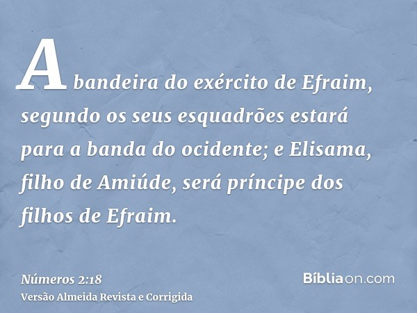 A bandeira do exército de Efraim, segundo os seus esquadrões estará para a banda do ocidente; e Elisama, filho de Amiúde, será príncipe dos filhos de Efraim.