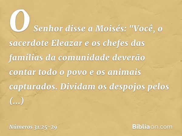 O Senhor disse a Moisés: "Você, o sacerdote Eleazar e os chefes das famílias da comunidade deverão contar todo o povo e os animais capturados. Dividam os despoj