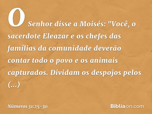 O Senhor disse a Moisés: "Você, o sacerdote Eleazar e os chefes das famílias da comunidade deverão contar todo o povo e os animais capturados. Dividam os despoj