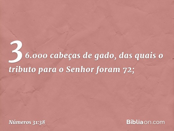 36.000 cabeças de gado, das quais o tributo para o Senhor foram 72; -- Números 31:38