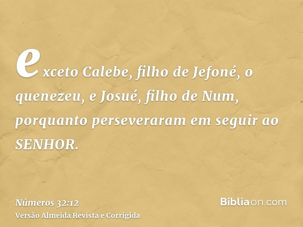 exceto Calebe, filho de Jefoné, o quenezeu, e Josué, filho de Num, porquanto perseveraram em seguir ao SENHOR.