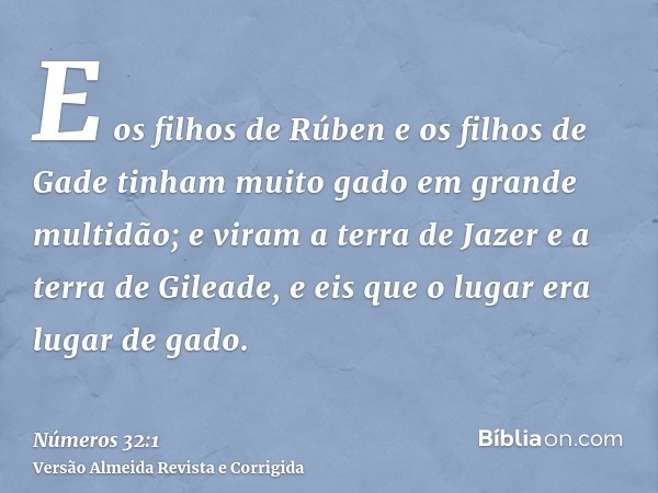 E os filhos de Rúben e os filhos de Gade tinham muito gado em grande multidão; e viram a terra de Jazer e a terra de Gileade, e eis que o lugar era lugar de gad