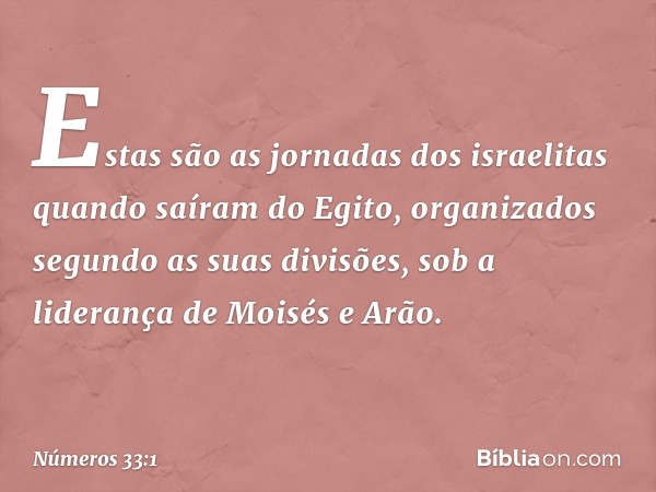 Estas são as jornadas dos israelitas quando saíram do Egito, organizados segundo as suas divisões, sob a liderança de Moisés e Arão. -- Números 33:1