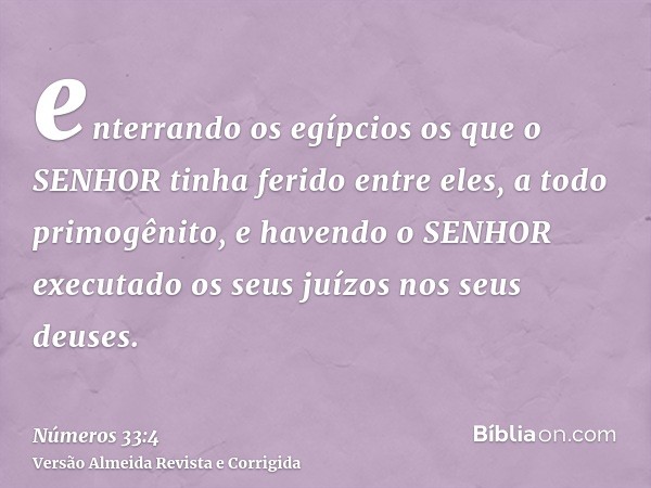 enterrando os egípcios os que o SENHOR tinha ferido entre eles, a todo primogênito, e havendo o SENHOR executado os seus juízos nos seus deuses.
